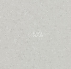 Линолеум Forbo Sphera Element 50003 light neutral grey фото 1 | FLOORDEALER